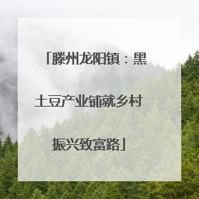 滕州龙阳镇：黑土豆产业铺就乡村振兴致富路